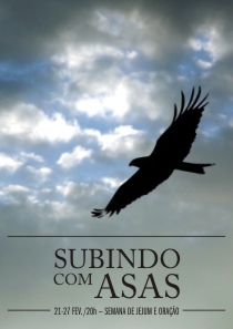 Subindo com Asas
